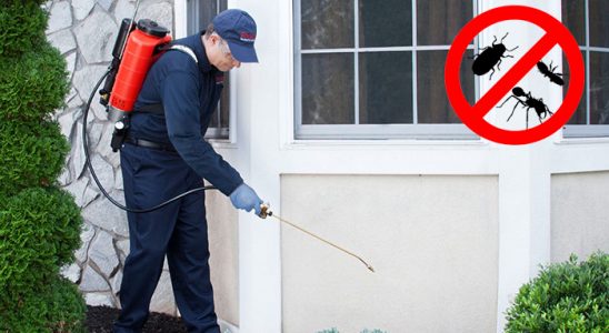 Hocalar Pire İlaçlama böcek ilaçlama ve haşere kontrolü — ilaclama-tr.com